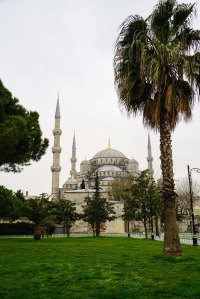Blue Mosque from Sultanahmet Square