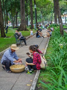 peanuts in the park - Saigon