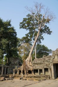 Preah Khan - East Entrance